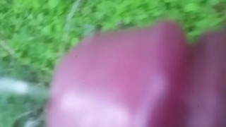 Piss walking in backyard
