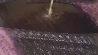 Couldn't help it HAD TO PEE on carpet