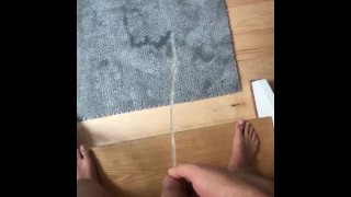 PISSING ON A RUG/CARPET BUT GOT TOO EXCITED AND PISSED EVERYWHERE. MULTIPLE ANGLES