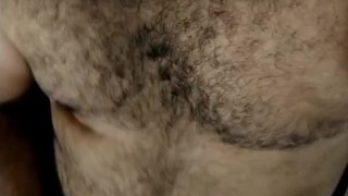 O urso quer comer