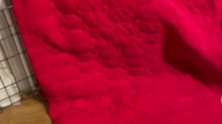 Latino masturbation orgasm