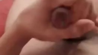 Lot Sperm