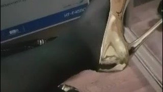 Gold Heels Squeaking