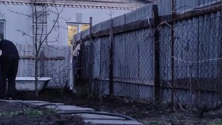 Vegetable garden in order