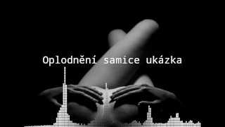 Oplodnění samice - audio
