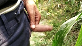 Indian big cock pissing in field public area 