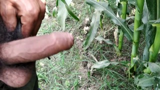 Indian pissing videos