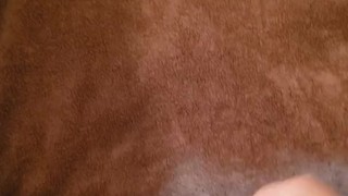 日本人男性のオナニー我慢　限界射精