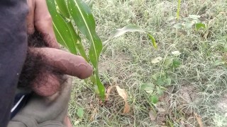 Indian boy pissing in morning 