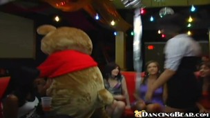 DANCING BEAR - Gang Of Hoes Receiving Gift Of Dick From Hung Male Strippers At Wild CFNM Party