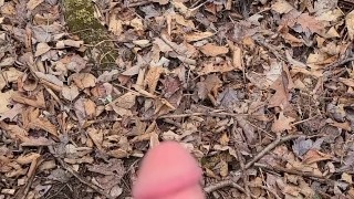 BushPlay