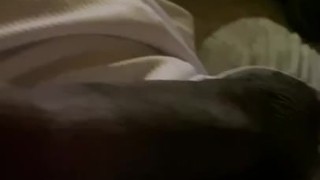 Morning nut