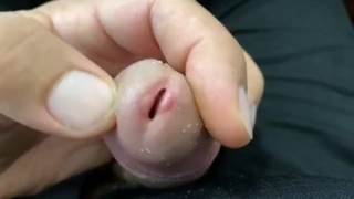 Uncut dick getting hard. Uncircumcised