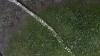 Pissing in the dark outside, uncut cock