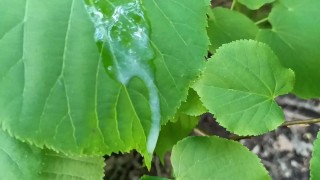 Thick dick outdoor cumshot and close up looking on cum