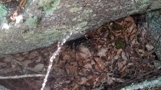 Pissing in the woods