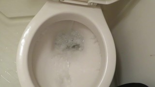 Hentai just takes a Light-colored piss