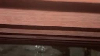 Nutted on the neighbors house 