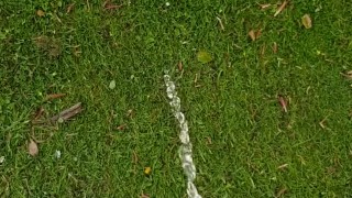 Pissing in a public park!! 💦💦