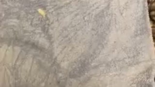 Jerking off until I cum