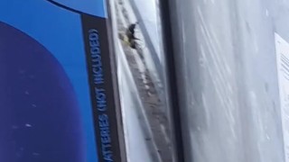 beeee in my window 