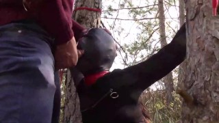 Outdoor sex in the wood. Wearing sexy clothes and high heels, bound, throated and fucked