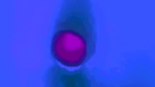 new animator trailer