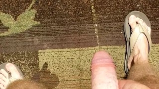 Hairy ginger pissing on a rug, a outdoor rug! Firebush!