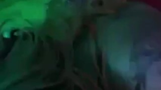 Gif Hazelnutxxx Pornstar 2021
