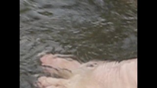 Walking through water
