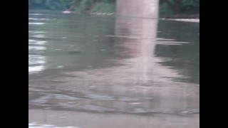 swimming