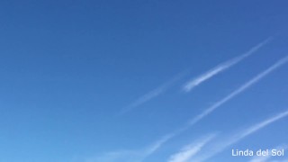 A falta de pollas masturbación entre amapolas