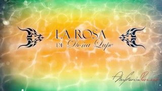 AGax La Rosa De Doña Lupe - El Quintito - Parodia version porno