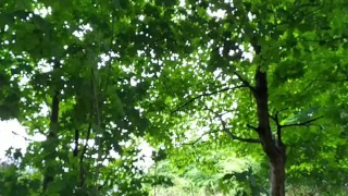 Outdoor fucking and sucking in public park latex slut