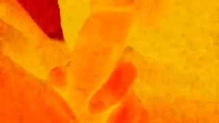 Dicks on Fire!