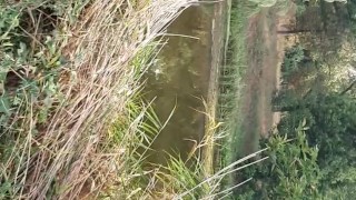 Вылизала киску в общественном месте с видом на реку (рискованный секс) - lesbian_illusion