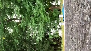 A Japanese idol doing high intense sex training at the Tokyo Olympics venue! ⑤[Big ass] [Big dick]