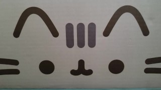 Izno box