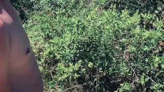 Public piss