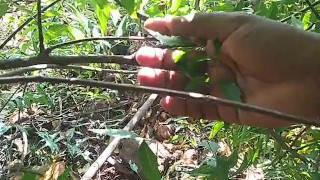 Outdoor video nude