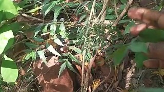 Outdoor reaction