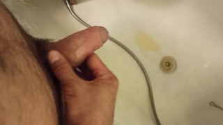 Came to visit and decided to piss in the bathroom.
