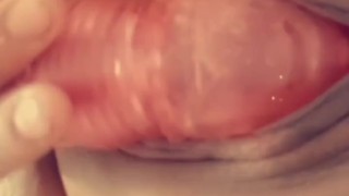 Penny gets a little playtime in the shower 