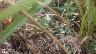 Indian outdoor
