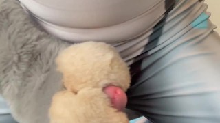 A horny lynx jerks off in his petsuit