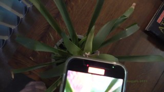 AJ Request Pissing on house plants Thanks AJ