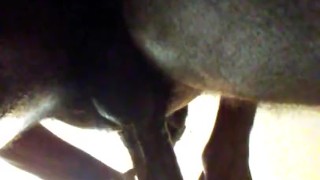 Underview my last cumshot for this night