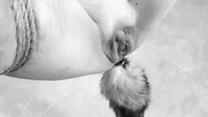 MY KITTY SUSPENDED & FUCKED HARD - Tied up kitten cumming so many times! Home-made shibari