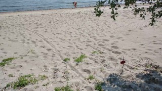 on a public beach jerking off my dick in anticipation of sex