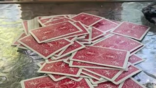 We were playing strip poker outside at our campsites gazebo, she lost so she had to show me her tits
